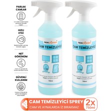 Noxclean Cam Temizleyici Sprey 750 ml 2’li Avantaj Paketi | Iz Bırakmayan Parlak Temizlik