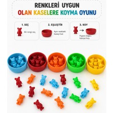 Major Hobi Renk Eşleştirme Oyunu Montessori Eğitim Seti Renkleri Kaselere Yerleştirme Oyunu