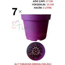 Tuğel Flowers 7 Adet (Mor)Plastik Saksı 2 Litrelik (Alt Tabaksız)
