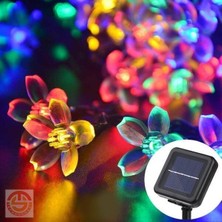 AvantajAl Solar 30 Ledli Çiçekli Rgb Bahçe Aydınlatma Dekorasyon Güneş Enerjili