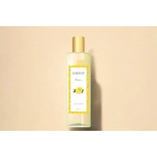 Vivense Lorient Limon Kolonya, 400 ml