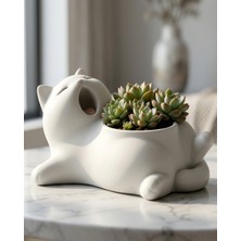 Flay 3D Esneyen Kedi Şeklinde Dekoratif Saksı Beyaz Mini Çiçek Saksısı Ev Ofis Dekoru