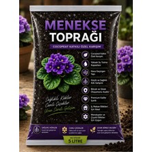 Plant Home Power Mix Menekşe Toprağı 5 Litre Organik Cocopeat Katkılı