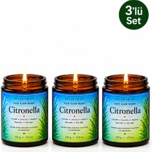 Decevorine Sivrisinek Alanlarında Tercih Edilen Citronella ve Limon Otu Mumu 100 gr 3 Lü Paket