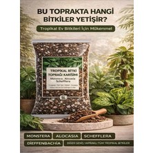 Plant Home Power Mix Tropikal Bitki Toprağı - 15 Litre