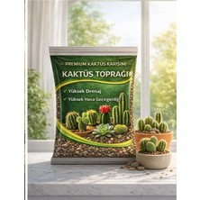 Plant Home Power Mix Premium Kaktüs Toprağı & 10 Litre