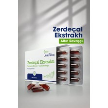 Dr. Ümit Aktaş Zerdeçal - 60 Kapsül Gıda Takviyesi