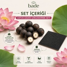 Bade Shop 4 Adet Nilüfer (Lotus) Çiçeği Tohumu ve Çimlendirme Seti – Zımpara ve Rehber Kitapçık Dahil