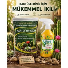 Plant Home Power Mix 5 Litre Kaktüs Toprağı ve Kaktüs Besini (500 Ml)