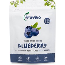 Fruvivo Dondurularak Kurutulmuş Yaban Mersini 20 gr,  Vegan, Glutensiz Kurutulmuş Meyveler