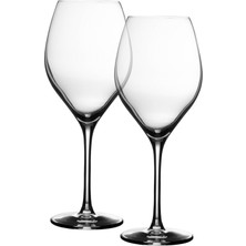 Paşabahçe Nude Logolu Bardak Vinifera 2'li 450 cc