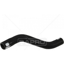 Rapro Almparca Yağ Dönüşüm Hortumu Peugeot P307-P207-P206-P1007-BIPPER Citroen C1-C2-C3-Xsara-Nemo-Fiesta V 1.4hdi- Tdci 08 - 19719