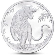 Agakulche Kaplan Figürlü Gümüş Sikke Coin