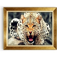 Tablore Leopar Desenli Vahşi Doğa Altın Çerçeveli Kanvas Tablo