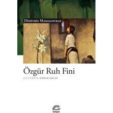 İletişim Yayınları Özgür Ruh Fini