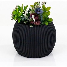Asil Acar Home Mercan Saksı 2 Numara 0,35 Litre Su Hazneli Dekoratif Kaktüs Sukulent Saksı 11,8x9,2 cm