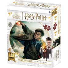 Toyfest Prime 3D Harry Potter Puzzle 300 Parça