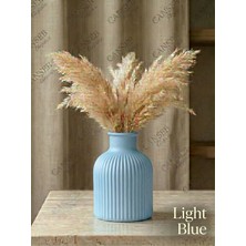 Canseb Elegance Premium - Light Blue - 10CM - Kokulu Çizgili Pampas Vazosu