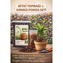 Plant Home Power Mix Bitki Toprağı 5 Litre & Kırmızı Pomza Taşı 1 Litre - Bitki Toprağı ve Kırmızı Pomza Taşı Set