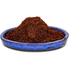 Plant Home Power Mix Cocopeat 10 Lt