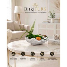 BitkiTÜRK 🌿 Yapay Aşk Merdivenli ve Stabilize Yosun Dekorlu Bakım Gerektirmeyen Masaüstü Bitki | Serçe Figürlü Ev ve Ofis Dekoru