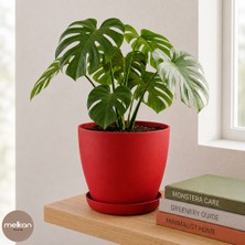 Melkan Home 8 Litre Begonya Saksı – 25X23,5 cm Mat Bitki Saksısı | Iç ve Dış Mekan Uyumlu Dayanıklı Çiçek Saksı