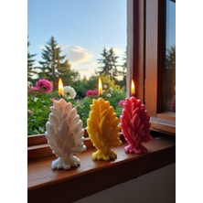 AY IŞIĞI MUMLARI Yaprak Ağaç Desenli 3'lü Hediyelik Dekoratif Hoş Kokulu Parafin Wax Mum (Sarı + Beyaz + Pembe Renkli)