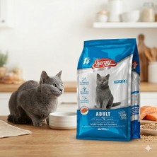 Uhel Energy Somonlu Yetişkin Kedi Maması 500 gr Omega 3&6 Katkısız Premium Kalite Kuru Mama - %100 Memnuniyet Garantili