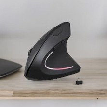 Hd Group Kenly Dikey Ergonomik Kablosuz Mouse – Sessiz Tıklama, Bilek Dostu Tasarım, 2.4g USB Alıcılı, Ayarlanabilir Dpı, Bilgisayar ve Laptop Uyumlu Ergonomik Mouse