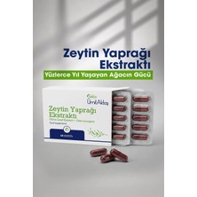 Dr. Ümit Aktaş Zeytin Yaprağı Ekstraktı - 60 Kapsül