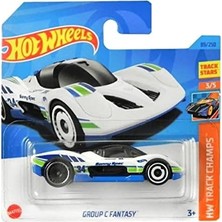 Hd Group 1:64 Tekli Arabalar 2023 089/250 Hw Track Champs Group C Fantasy
