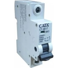 Cata CT-9617 63 Amper Sigorta B Tipi Monofaze 4 5 Ka