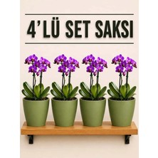 Plant Home Power Mix 4 Lü Koyu Yeşil Renk Orkide Saksısı