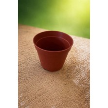 Plant Home Power Mix 5cm Bitki Üretim Saksısı 10 Adet
