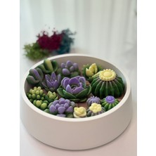 Serenity Sanat Renkli Kaktüs Bahçesi Konsept Kase Kokulu Hediyelik Dekoratif Mum