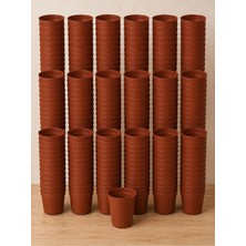 Plant Home Power Mix 5,5 cm Sukulent ve Kaktüs Saksı 50 Adet