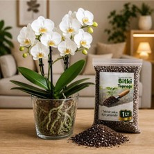 Plant Home Power Mix 12 Pot Cam Orkide Saksısı & 1 Litre Bitki Toprağı Set