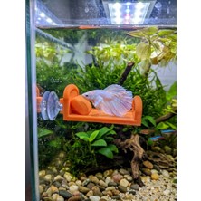 Betta Balığı Için Özel Tasarım Petg Turucu Dinlenme Yatağı - 8x5 cm - Vantuzlu
