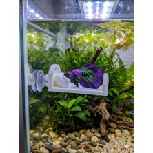 Asi 3D Tasarım Betta Balığı Için Özel Tasarım Petg Beyaz Dinlenme Yatağı - 8x5 cm - Vantuzlu