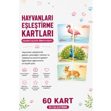 Yogatoon Kids World Çocuklar Için Hayvan Temalı Eşleştirme Kartları – Bilişsel Gelişim Destekleyici Set - 30'lu