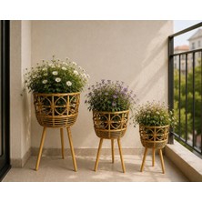 Hasır Saksı 3 Lü Set - Çizgili