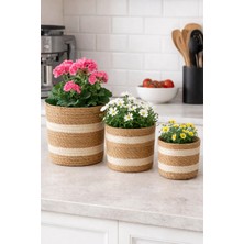 Hasır Saksı 3lü Mini Set - Beyaz Hasır