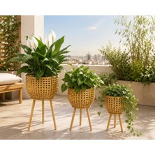 Hasır Saksı 3 Lü Set - Kareli
