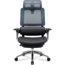 Demharis Siyah Ergonomik Fileli Ofis Koltuğu Başlıklı Bel Destekli Çalışma Sandalyesi