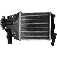 Grifin Soft Voge Sr1 125 Radyatör Komple