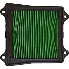Grifin Soft Dominar 250 Hava Filitresi