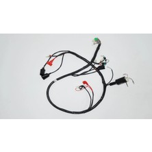 Grifin Soft Blazer 50 Elektrik Tesisatı