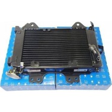 Grifin Soft Pulsar Rs 200 Radyatör Orjinal