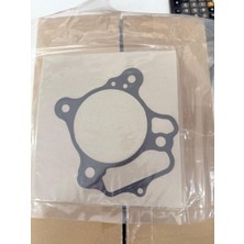 Grifin Soft Honda Forza 250 Silindir Alt Conta