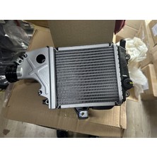 Grifin Soft Pcx 125 Radyatör 2021 2023 Oem